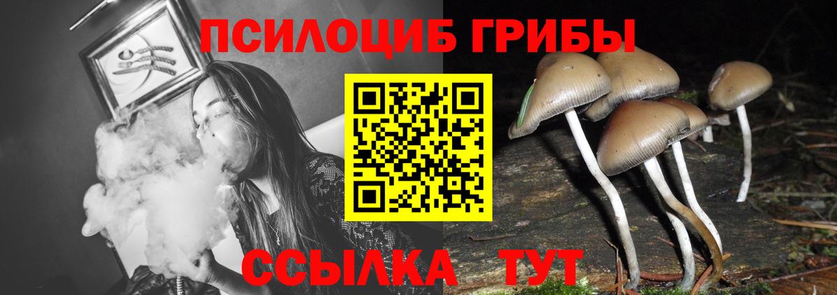 ГАШ Саратов