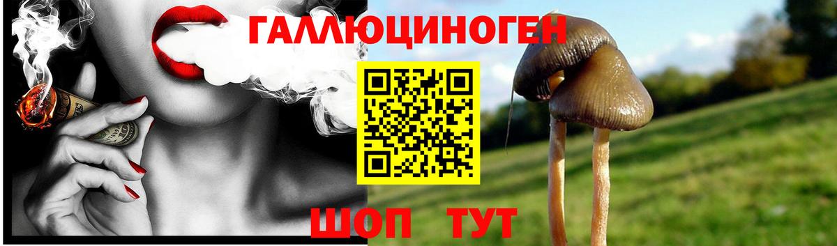 Псилоцибиновые грибы мухоморы  Вход с VPN  Псилоцибиновые грибы MAGIC MUSHROOMS  Саратов 